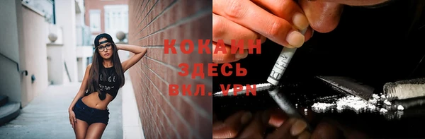 меф Няндома