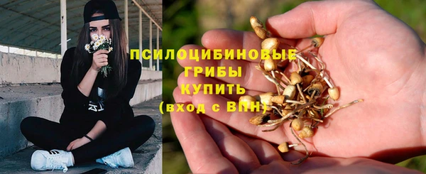 герыч Нязепетровск