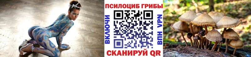 сколько стоит  Полесск  Галлюциногенные грибы мицелий 